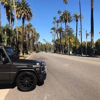 Отзыв от Родион - DTV виза